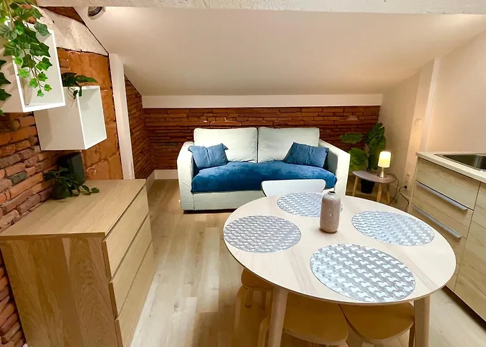 Capitole Hyper-centre, Mezzanine & Confort Τουλούζη